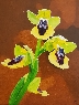 Ophrys Lutea